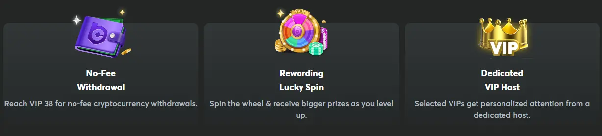 Poziomy lojalności i ich korzyści w BCGAME
