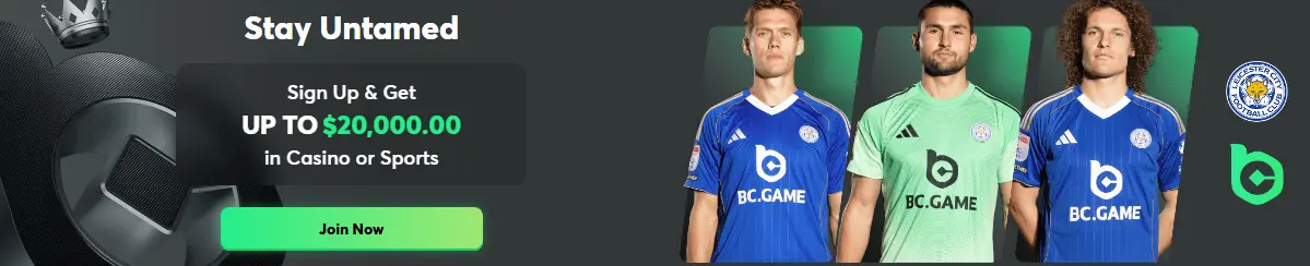 Najlepsze kasyna online BCGAME
